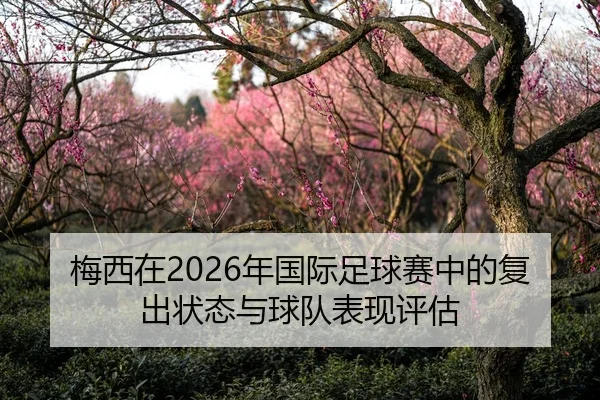 梅西在2026年国际足球赛中的复出状态与球队表现评估